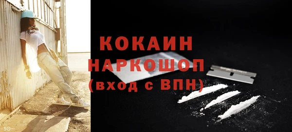 спиды Абаза