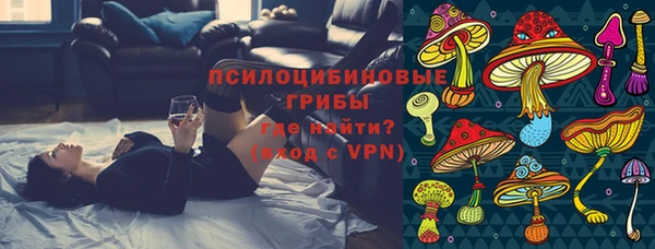 спиды Абаза
