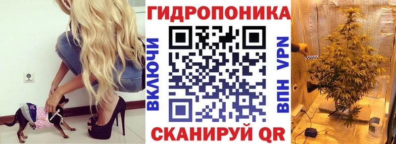 Каннабис марихуана  как найти   Орск 